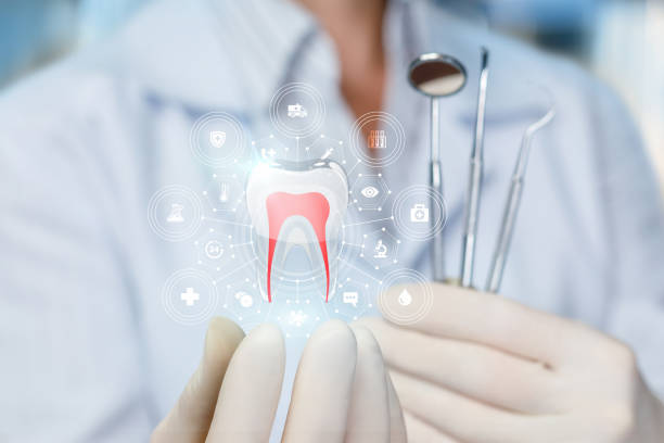 Best Preventive Dentistry  in Town And Country, MO